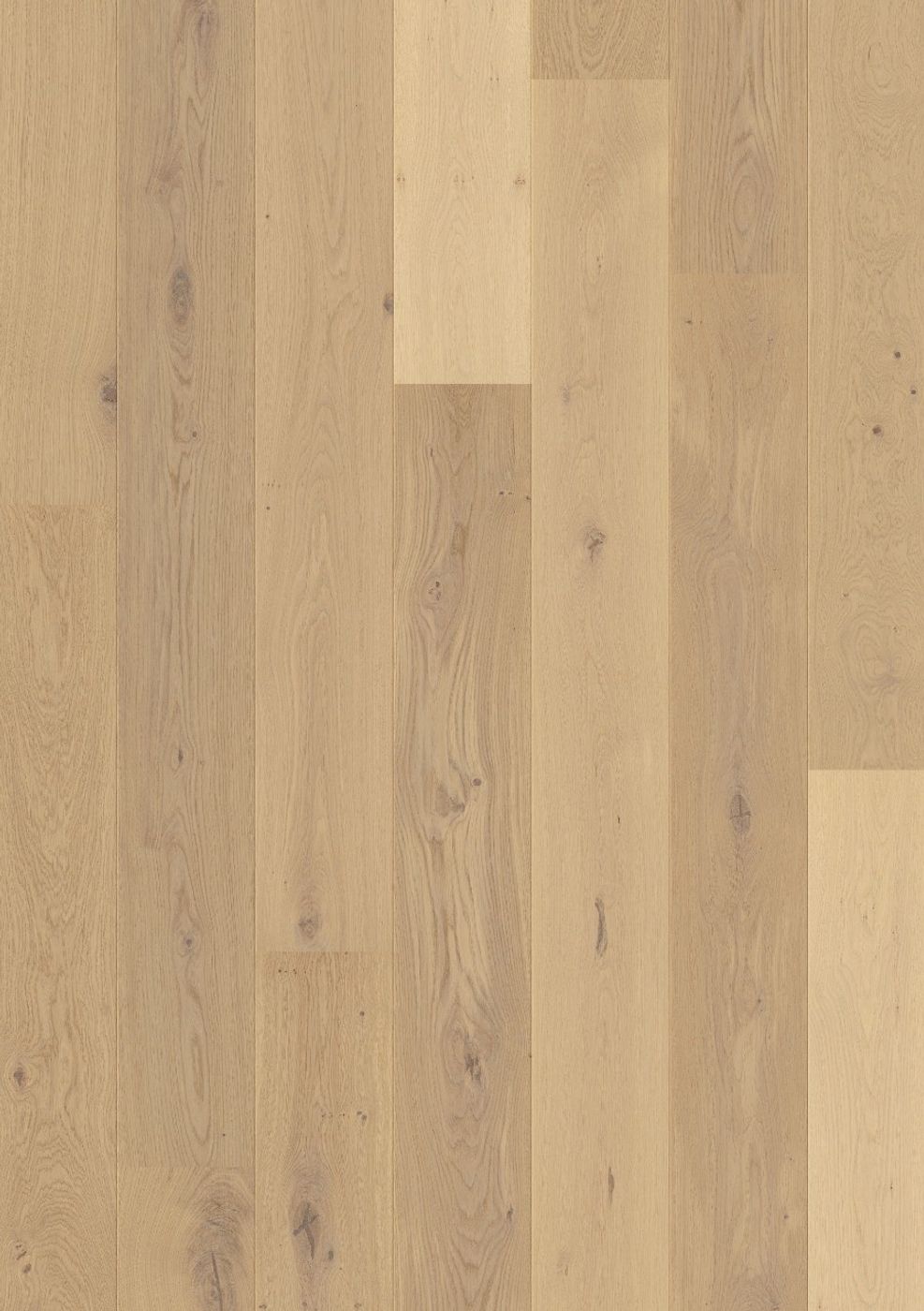 Parkett Pergo Lofoten Spring Oak