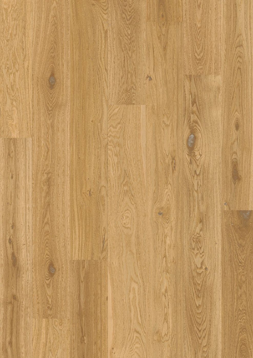 Parkett Pergo Lofoten - Natural Oak